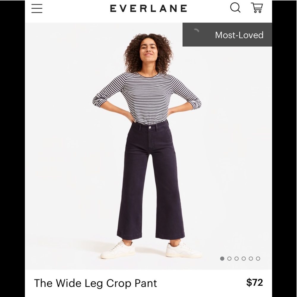 Everlane Wide Leg Cropped Pant